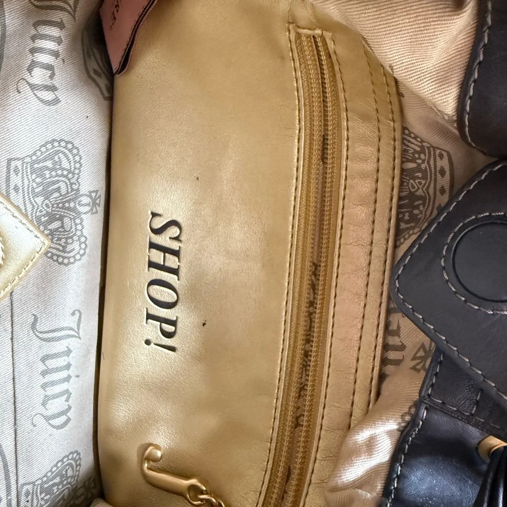 Juicy Couture Daydreamer Tote: Tan and Brown Embroidered - Picture 7 of 9